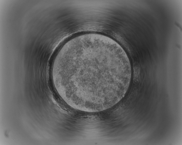 X0000100900580200807220954