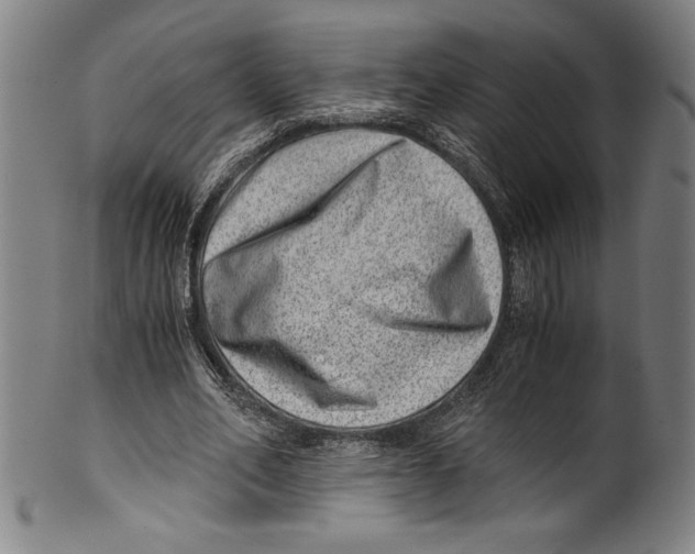 X0000100900582200807220954