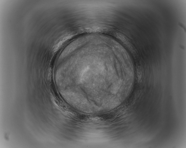 X0000100900583200807220954