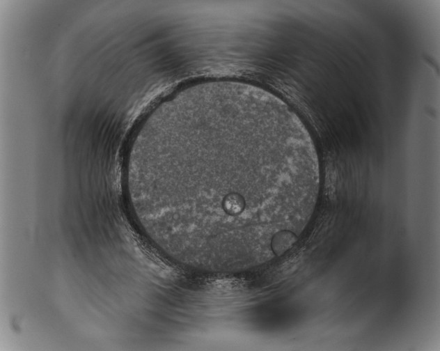 X0000100900584200807220954