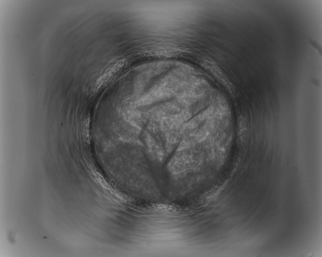 X0000100900585200807220954