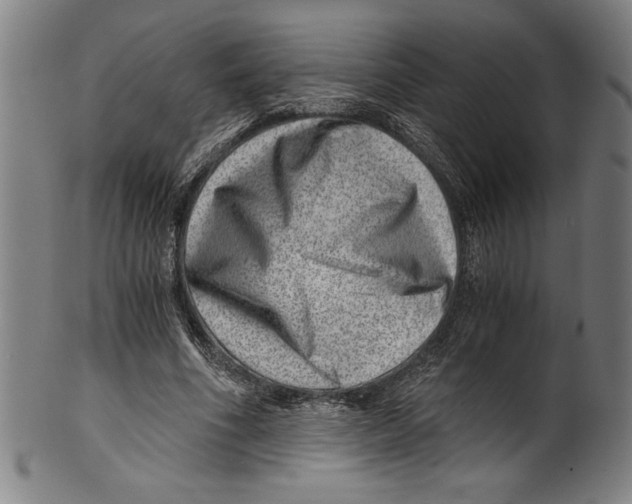 X0000100900586200807220954