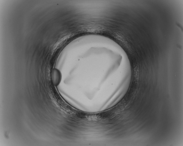 X0000100900587200807220954