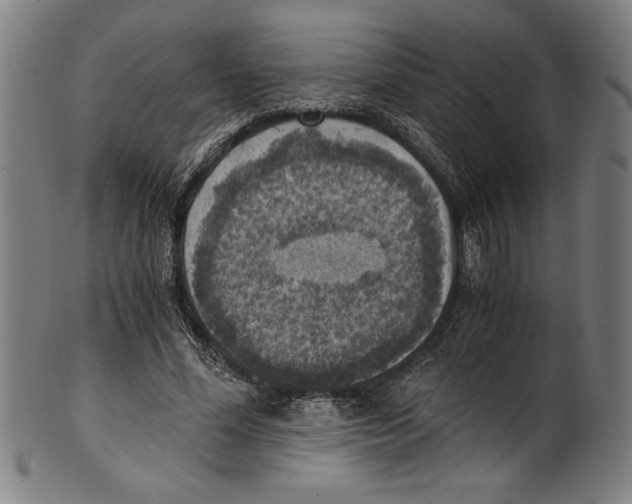 X0000100900588200807220954