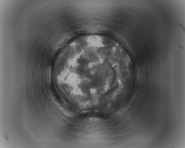 X0000100900590200807220954