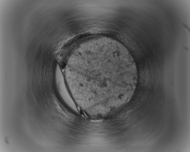 X0000100900592200807220954