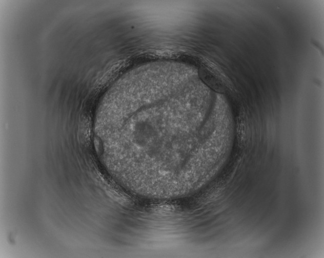 X0000100900593200807220954