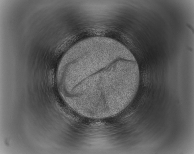 X0000100900594200807220954