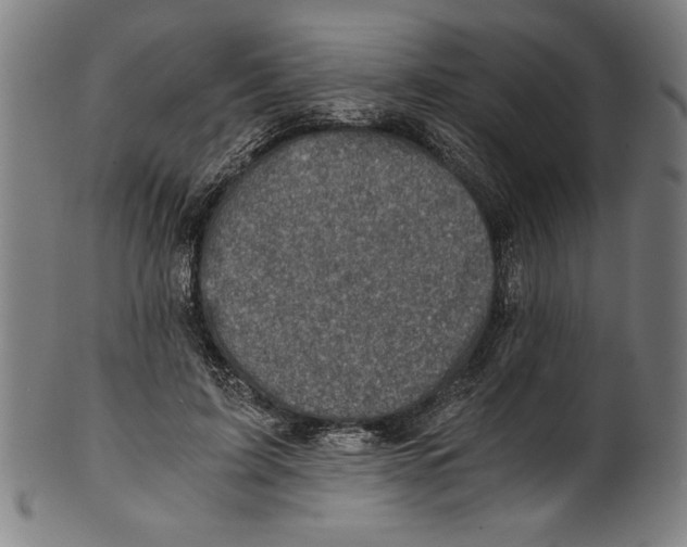 X0000100900595200807220954