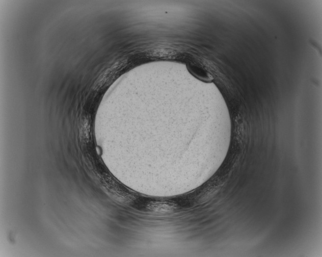 X0000100900597200807220953