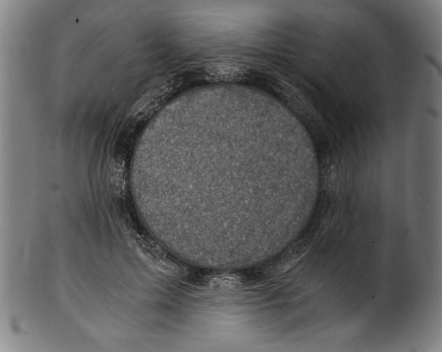 X0000100900599200807220953