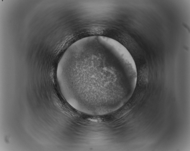 X0000100900600200807220953