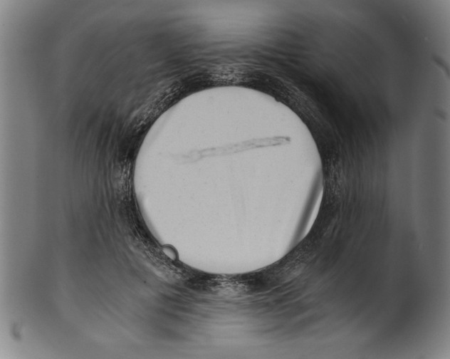 X0000100900601200807220953