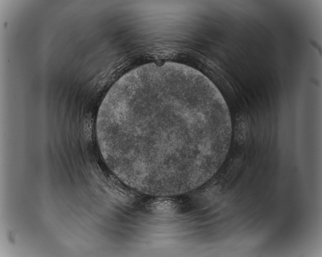 X0000100900604200807220953