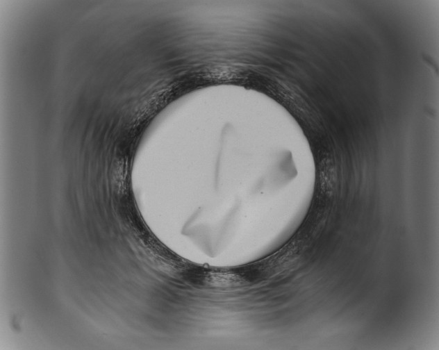 X0000100900605200807220953