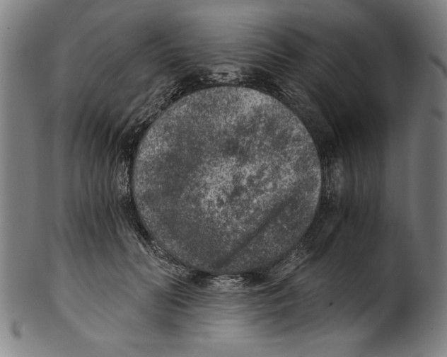 X0000100900606200807220953