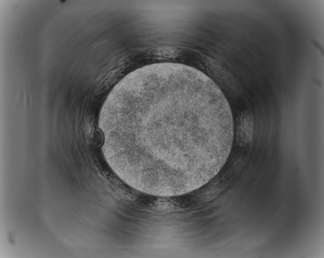 X0000100900608200807220953