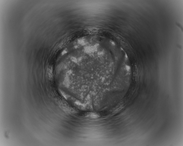 X0000100900610200807220953