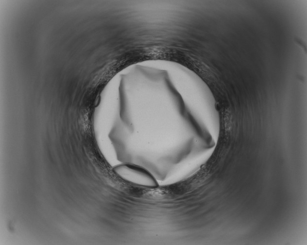 X0000100900611200807220953