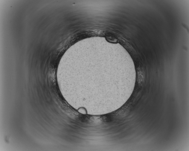 X0000100900613200807220953