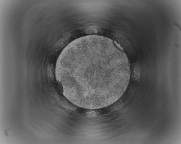 X0000100900616200807220953