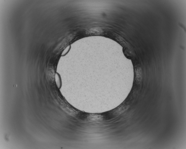 X0000100900617200807220953