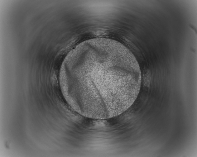 X0000100900618200807220953