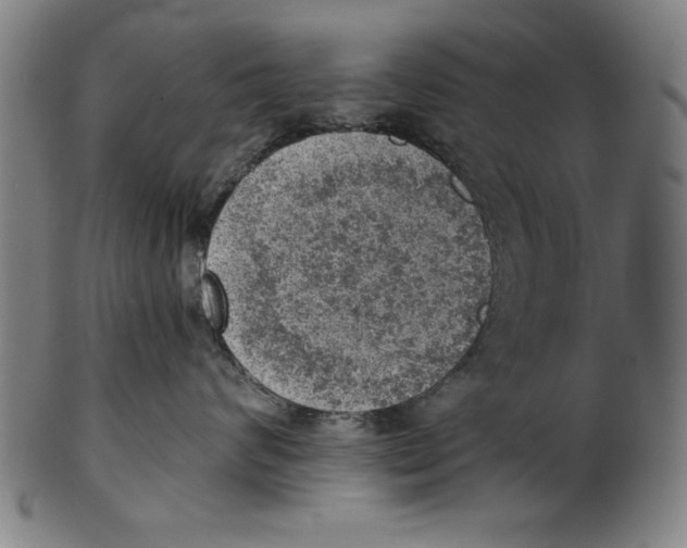 X0000100900624200807220953