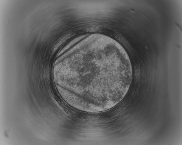 X0000100900626200807220952