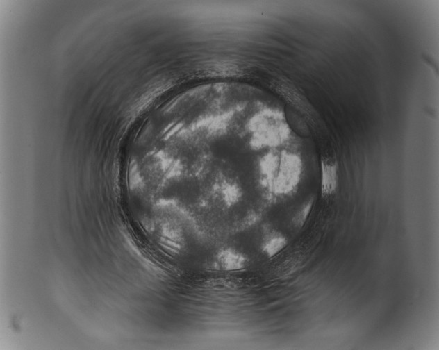 X0000100900627200807220952