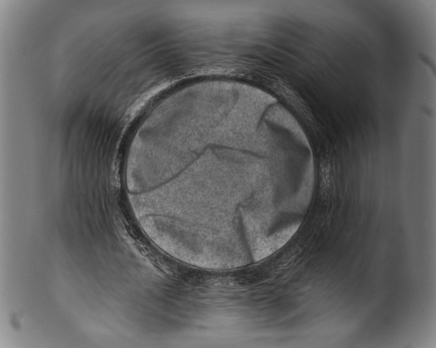 X0000100900628200807220952