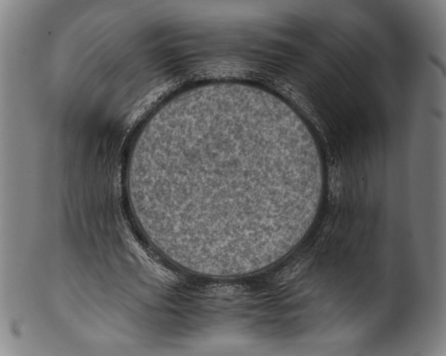 X0000100900629200807220952