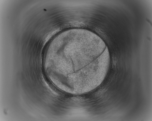 X0000100900630200807220952