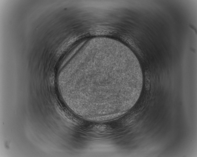 X0000100900631200807220952