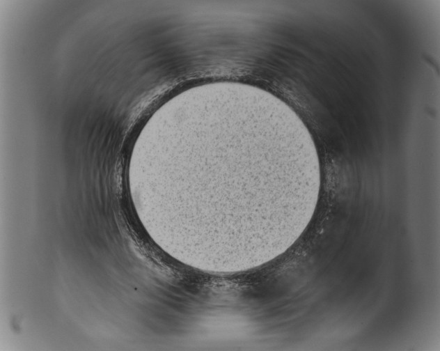 X0000100900632200807220952