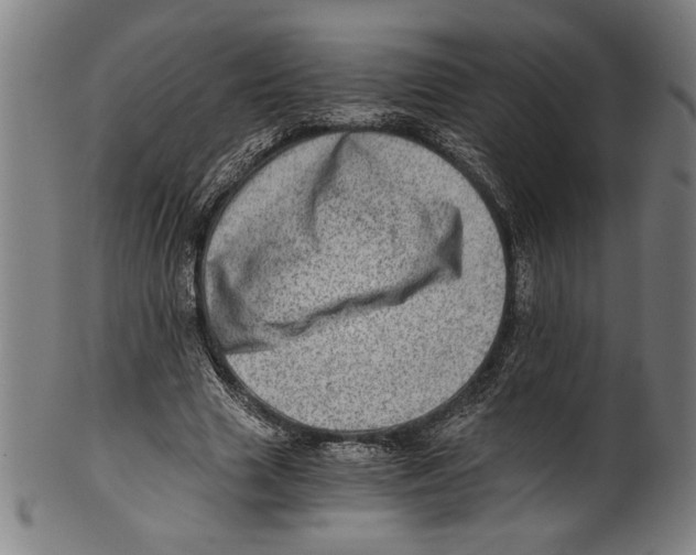 X0000100900633200807220952