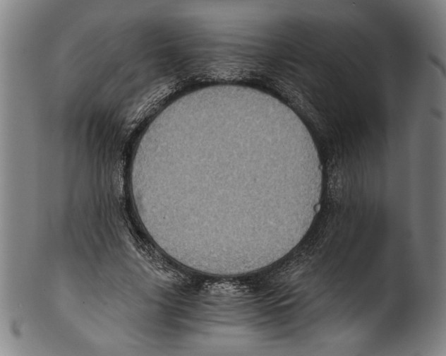 X0000100900635200807220952