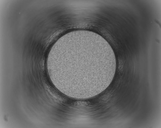 X0000100900636200807220952