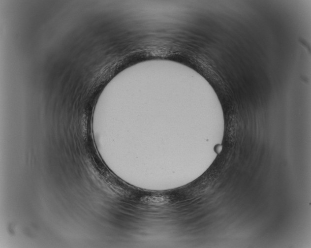 X0000100900639200807220952