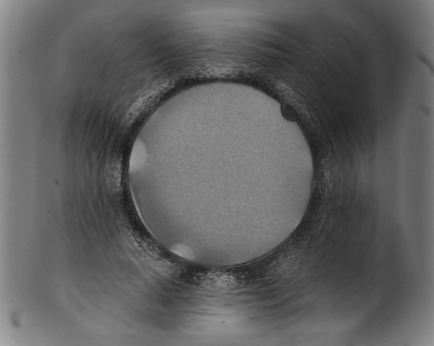 X0000100900640200807220952