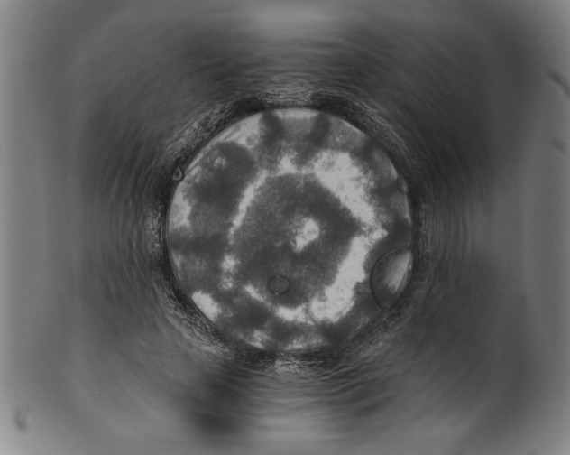 X0000100900641200807220952