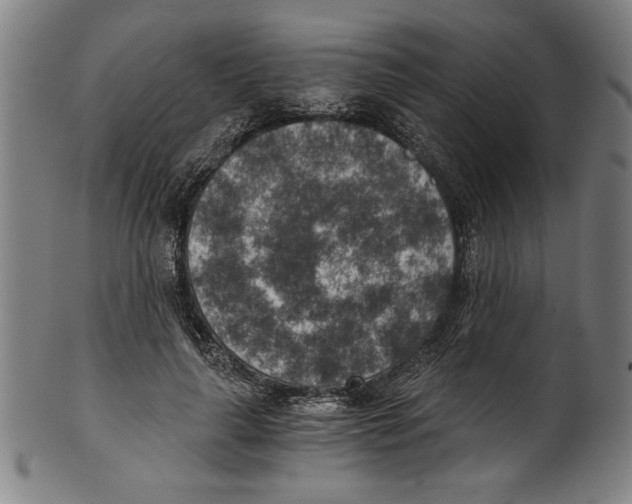 X0000100900643200807220952