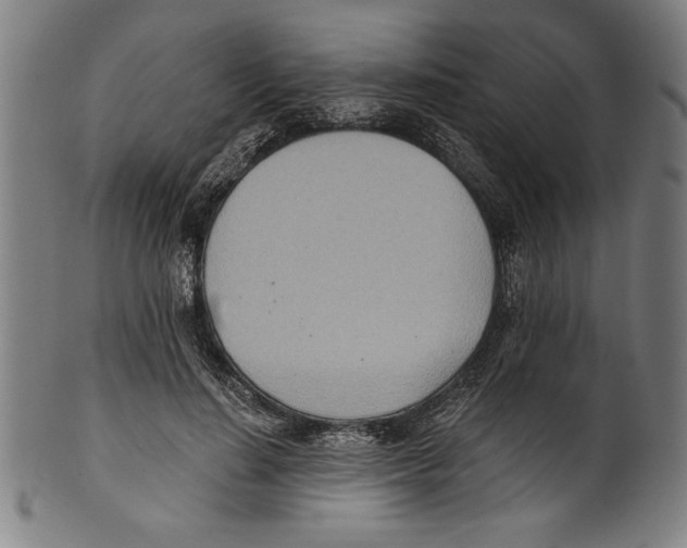 X0000100900644200807220952