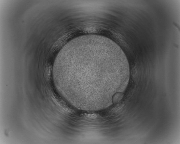 X0000100900645200807220953