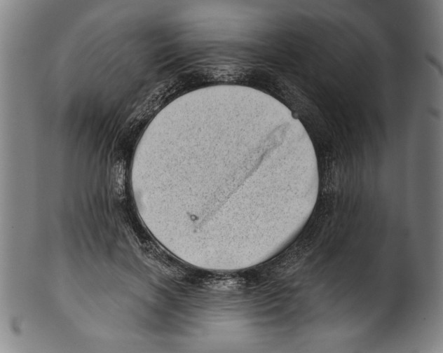 X0000100900646200807220953