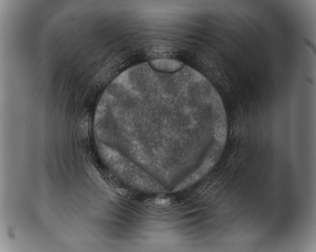 X0000100900647200807220953