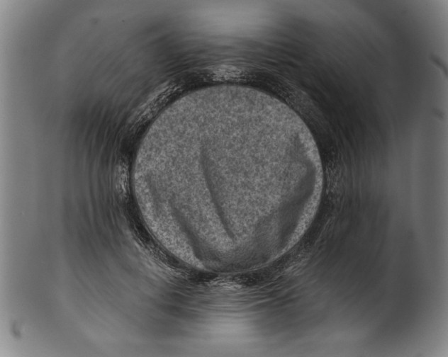 X0000100900648200807220953