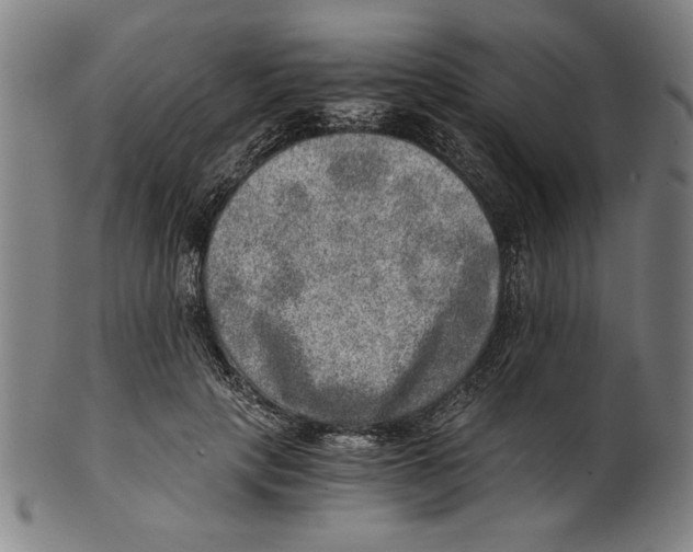 X0000100900649200807220953