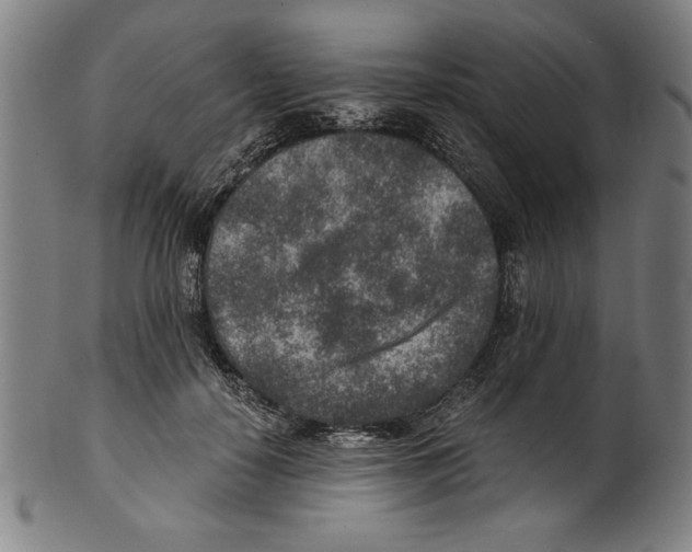 X0000100900650200807220953