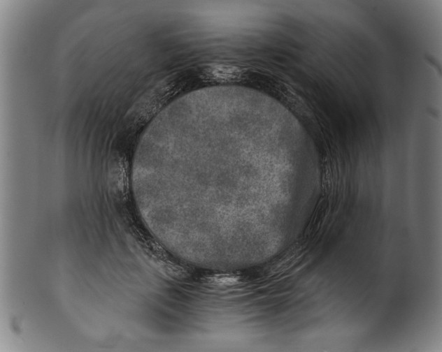 X0000100900651200807220953